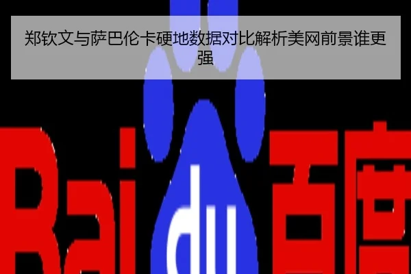 郑钦文与萨巴伦卡硬地数据对比解析美网前景谁更强